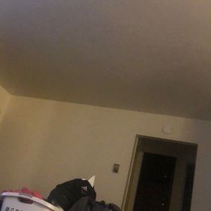 Meet your Posher, Moises